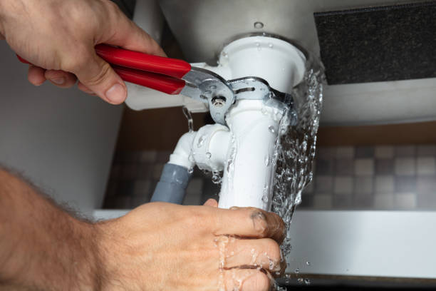 Best Commercial water damage restoration  in Hinckley, IL