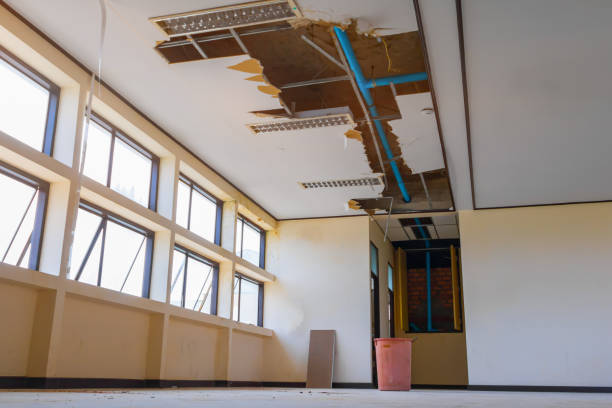 Best Water damage restoration near me  in Hinckley, IL