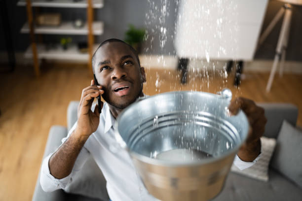 Best Water damage restoration near me  in Hinckley, IL