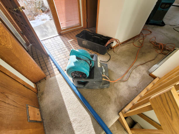 Best Flood damage cleanup  in Hinckley, IL