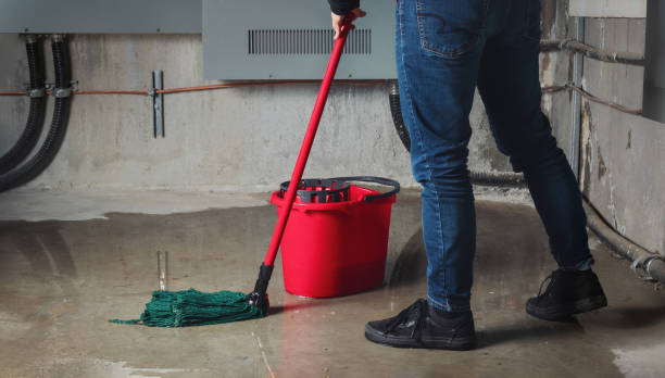 Best Carpet water damage restoration  in Hinckley, IL
