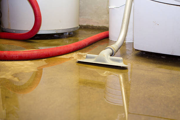 Best 24/7 water damage repair  in Hinckley, IL