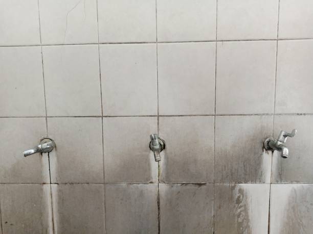 Best Professional water damage repair  in Hinckley, IL