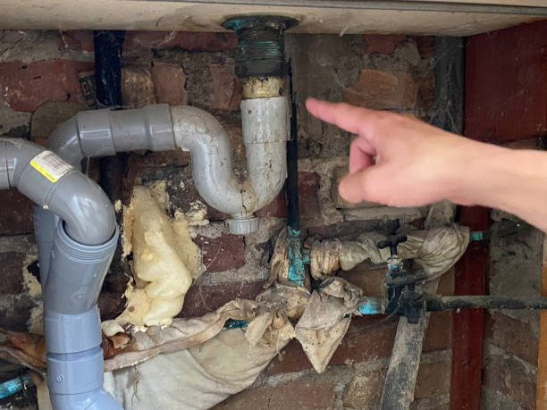 Best Sewage cleanup and water damage restoration  in Hinckley, IL