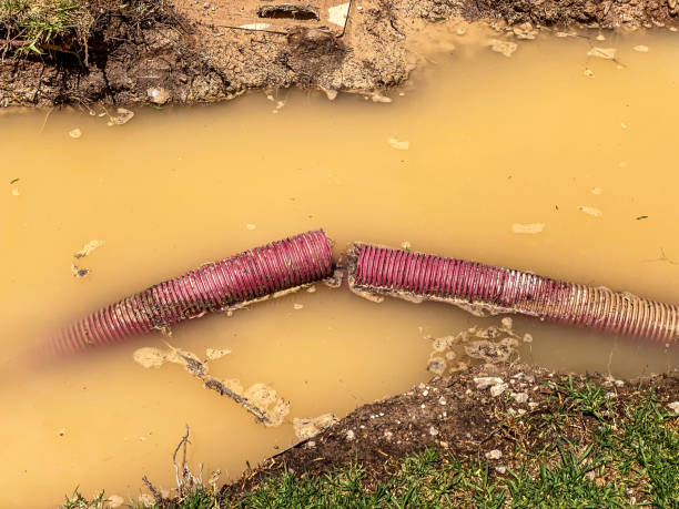 Professional Water damage restoration in Hinckley, IL