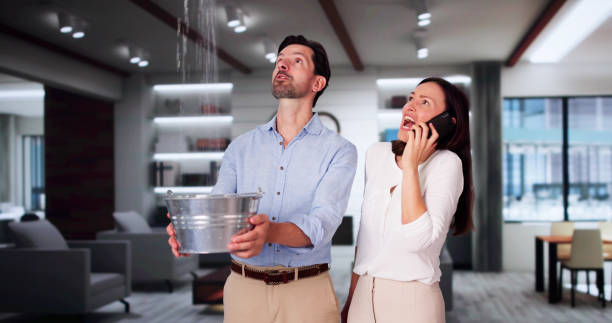 Best Local water damage restoration  in Hinckley, IL